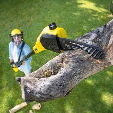 Best Tree Removal  in Lindenhurst, IL